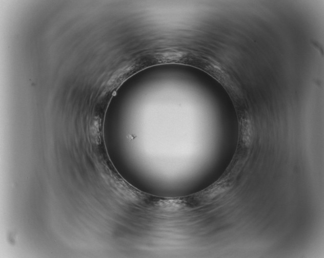 X0000100970378200807011426