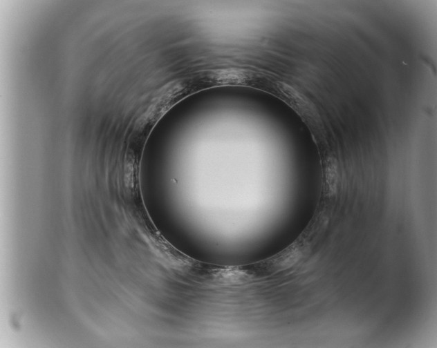 X0000100970379200807011426