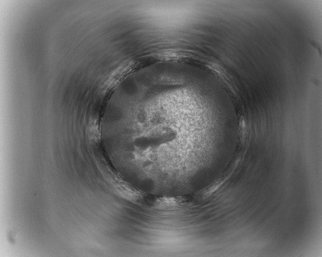 X0000100970381200807011426