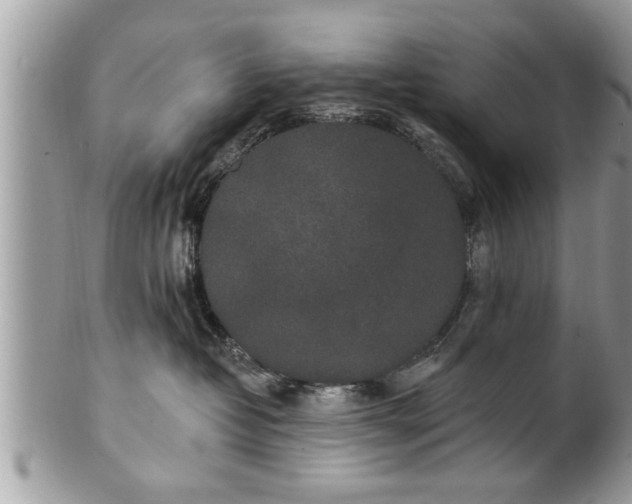 X0000100970382200807011426