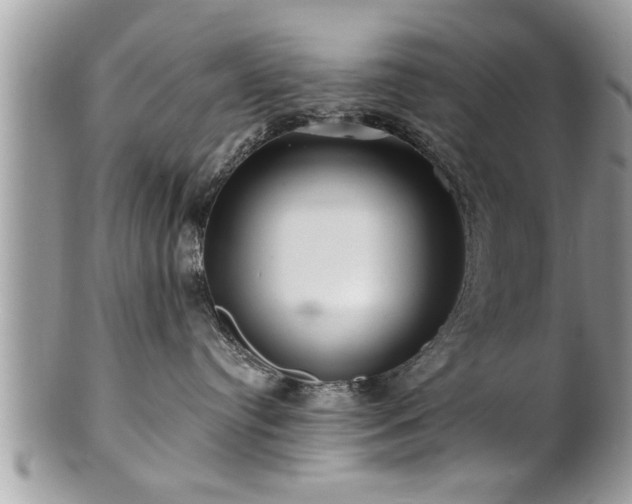 X0000100970384200807011426