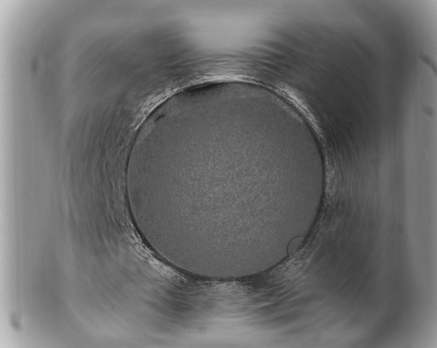X0000100970385200807011425