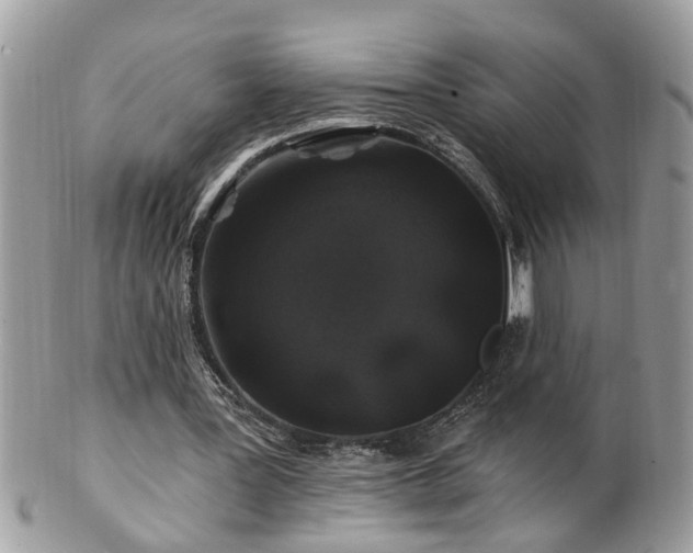 X0000100970387200807011425