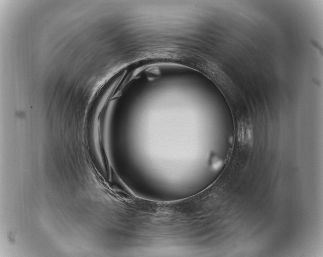 X0000100970388200807011425