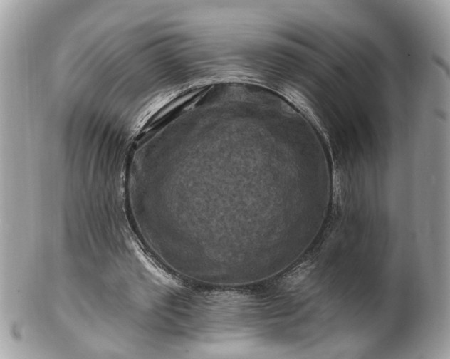 X0000100970389200807011425