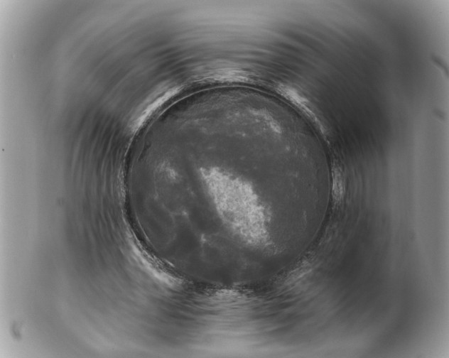 X0000100970390200807011425