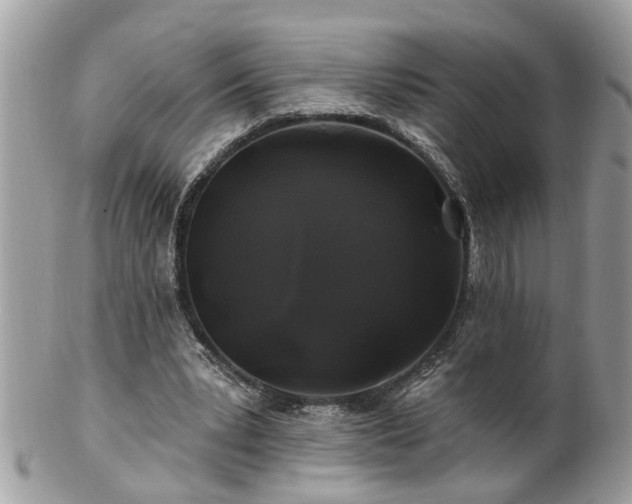 X0000100970391200807011425