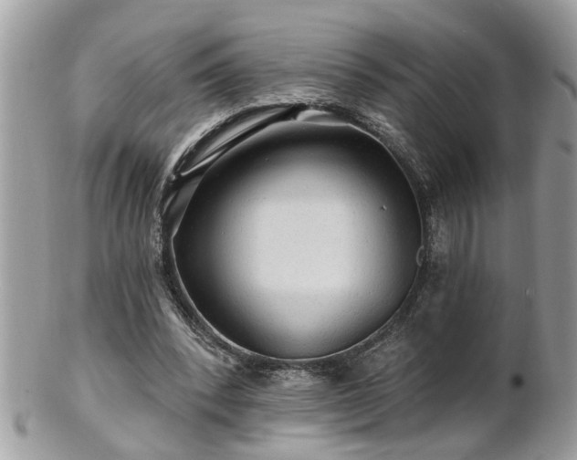 X0000100970392200807011425