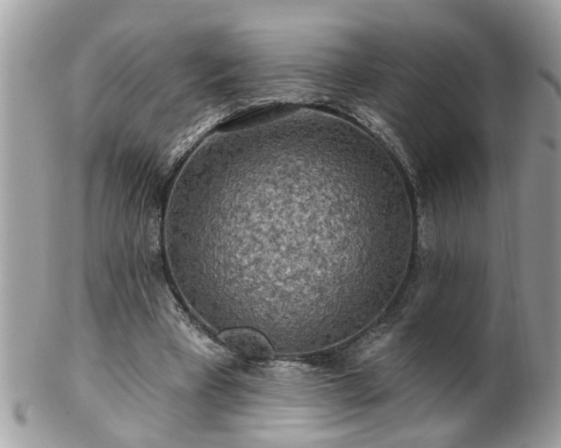 X0000100970393200807011425