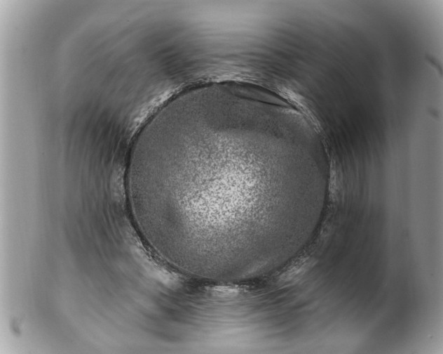 X0000100970394200807011425