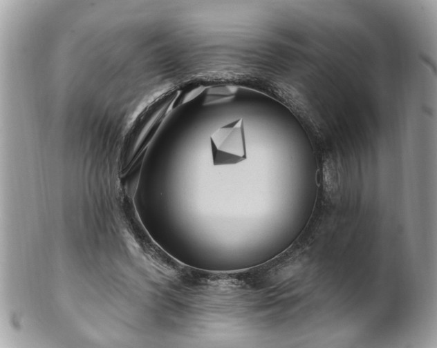 X0000100970396200807011425