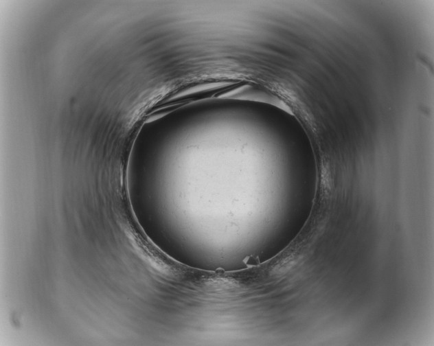 X0000100970397200807011425