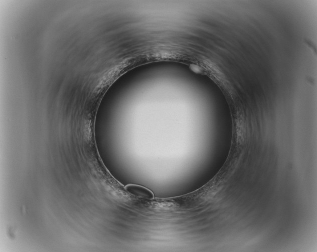 X0000100970401200807011425