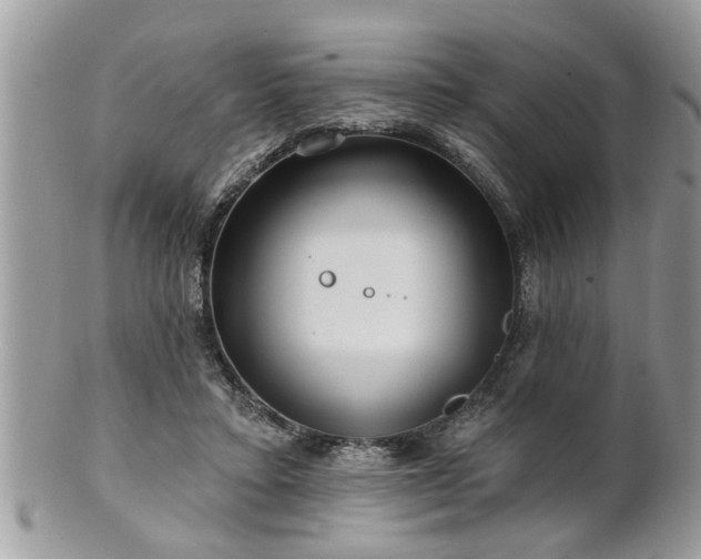 X0000100970403200807011425