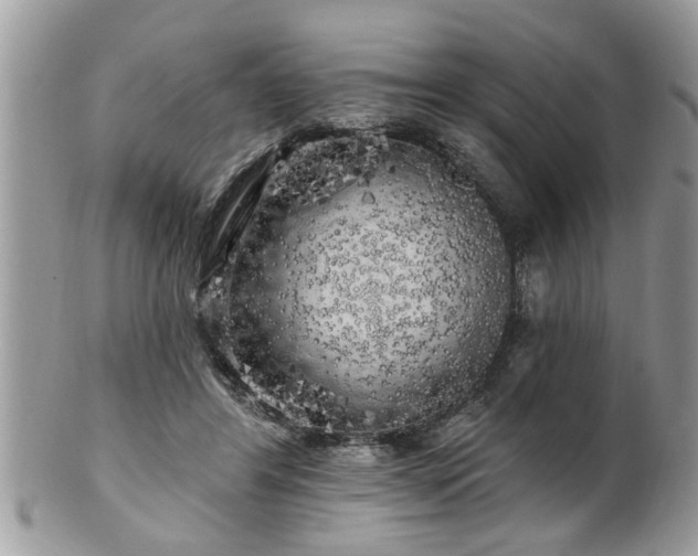X0000100970404200807011425