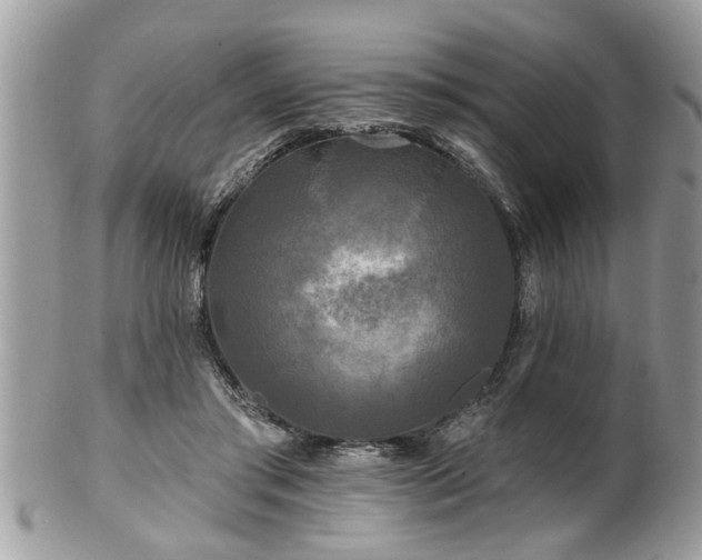 X0000100970405200807011425