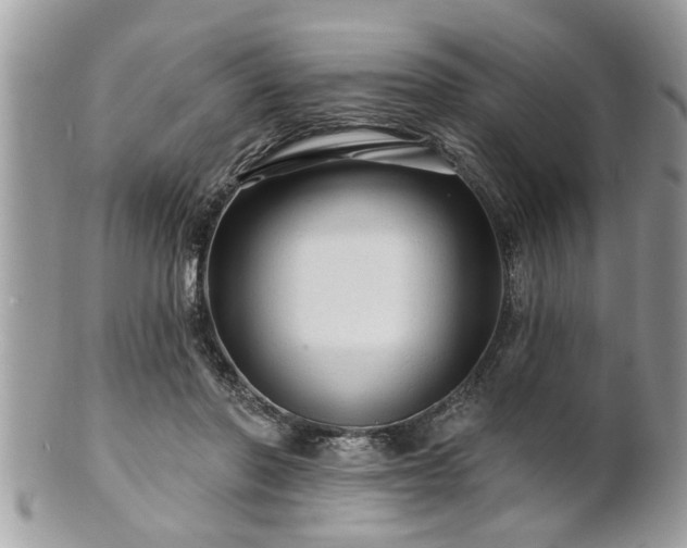 X0000100970406200807011425