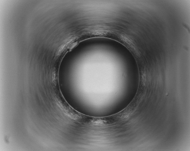 X0000100970407200807011425