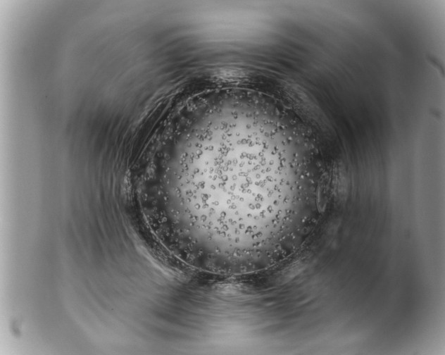 X0000100970408200807011425