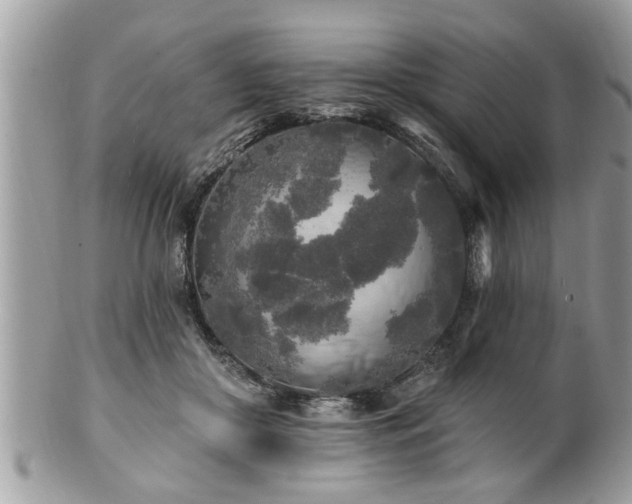 X0000100970410200807011425