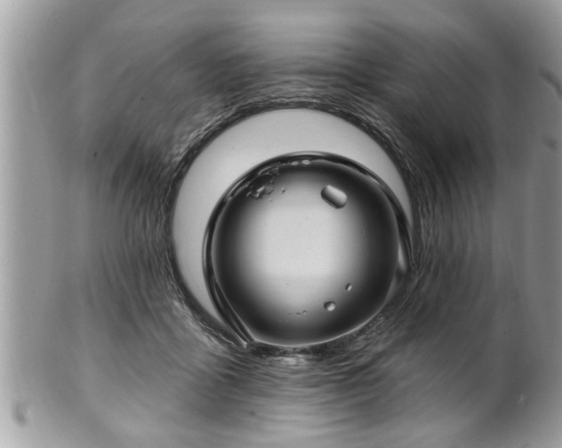 X0000100970411200807011425