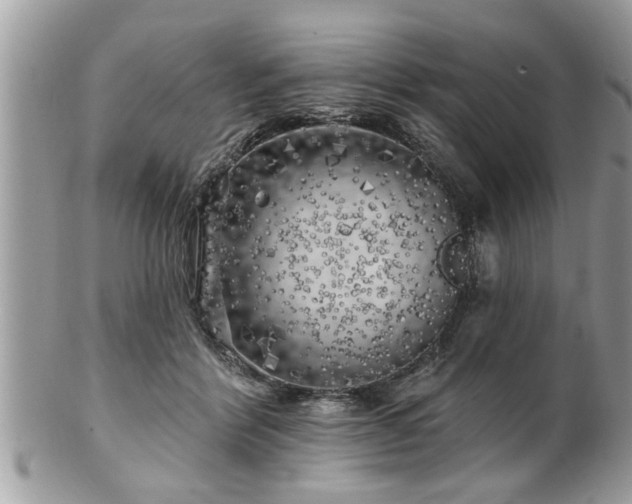 X0000100970412200807011425