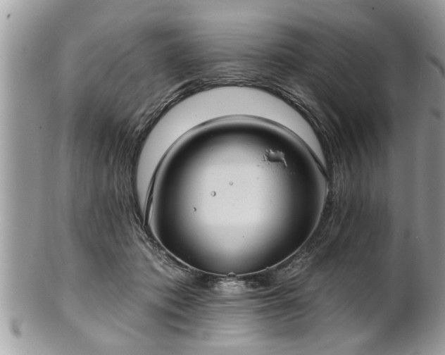 X0000100970413200807011425