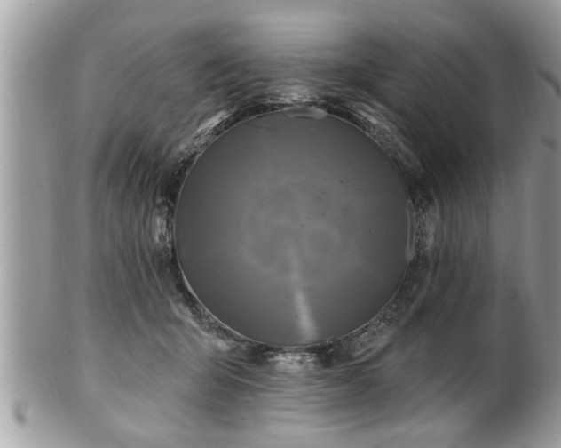 X0000100970415200807011425