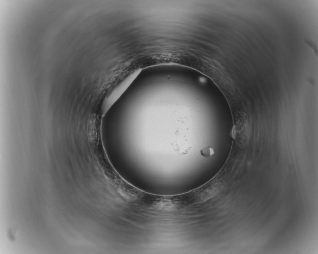 X0000100970416200807011425