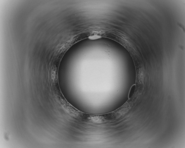 X0000100970417200807011425