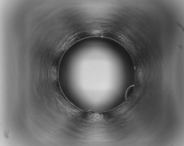 X0000100970421200807011425