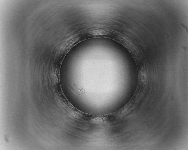 X0000100970422200807011425