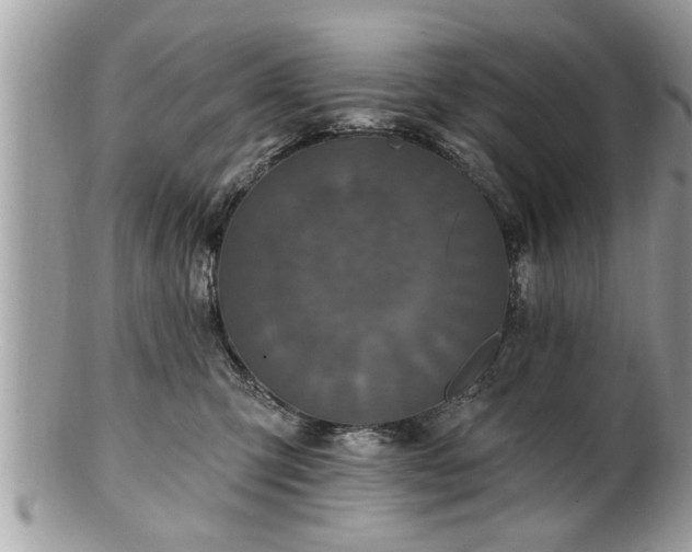 X0000100970423200807011425