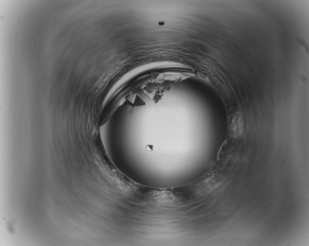 X0000100970424200807011425