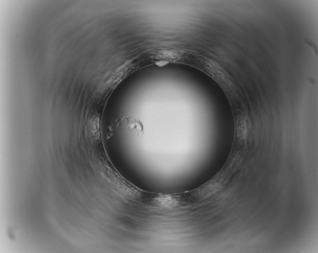 X0000100970425200807011425