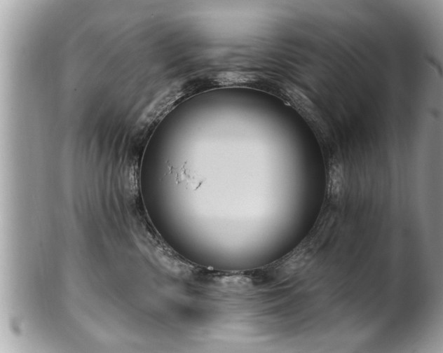 X0000100970426200807011425