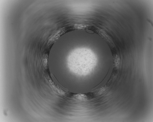 X0000100970427200807011425