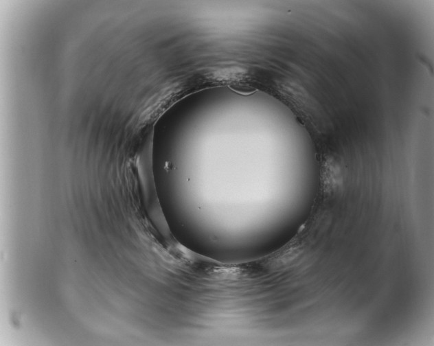 X0000100970428200807011425