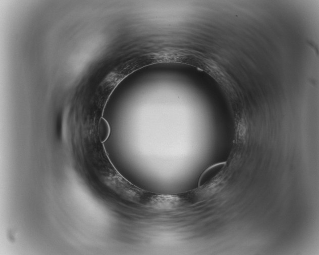 X0000100970429200807011425