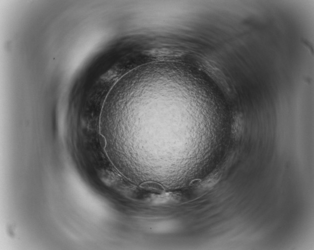 X0000100970430200807011425