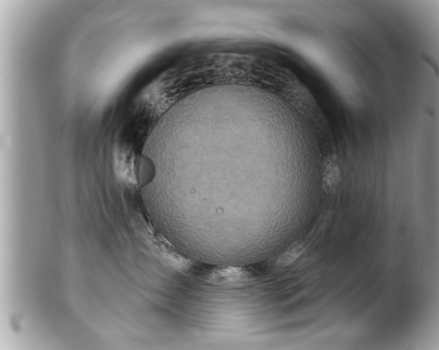 X0000100970431200807011425