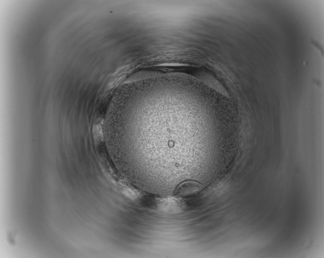 X0000100970432200807011425