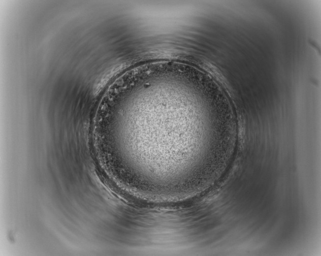 X0000100970434200807011424