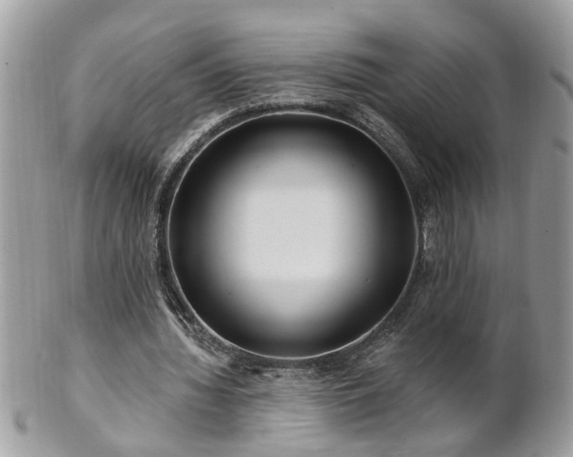 X0000100970436200807011424