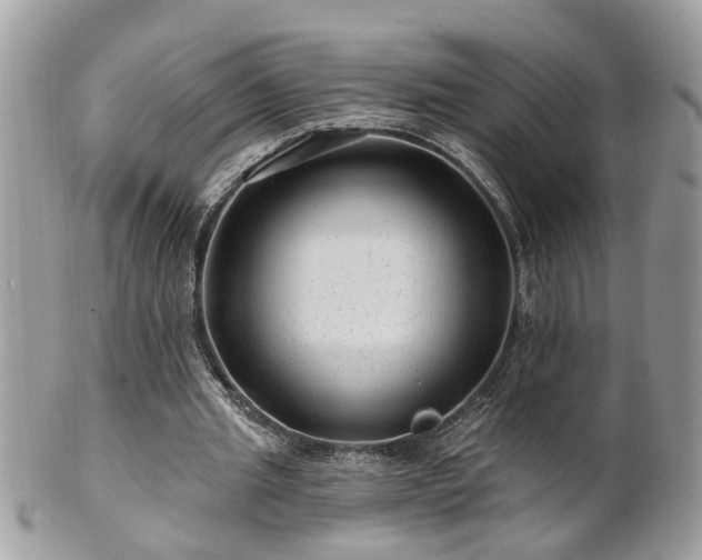 X0000100970437200807011424