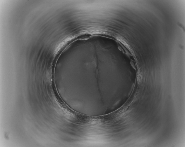 X0000100970438200807011424
