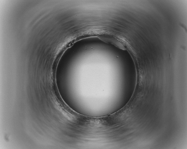 X0000100970439200807011424
