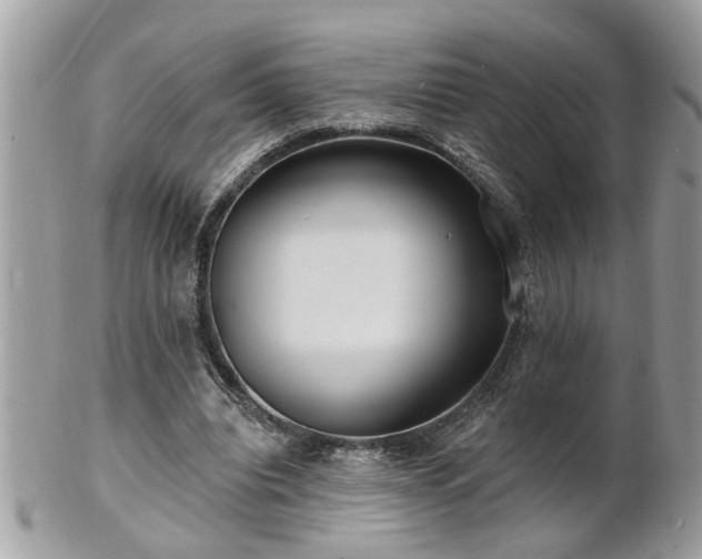 X0000100970440200807011424