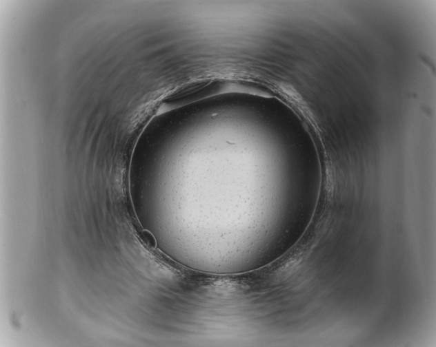 X0000100970441200807011424