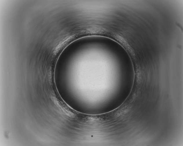 X0000100970442200807011424
